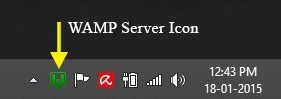 11-wamp-server-icon