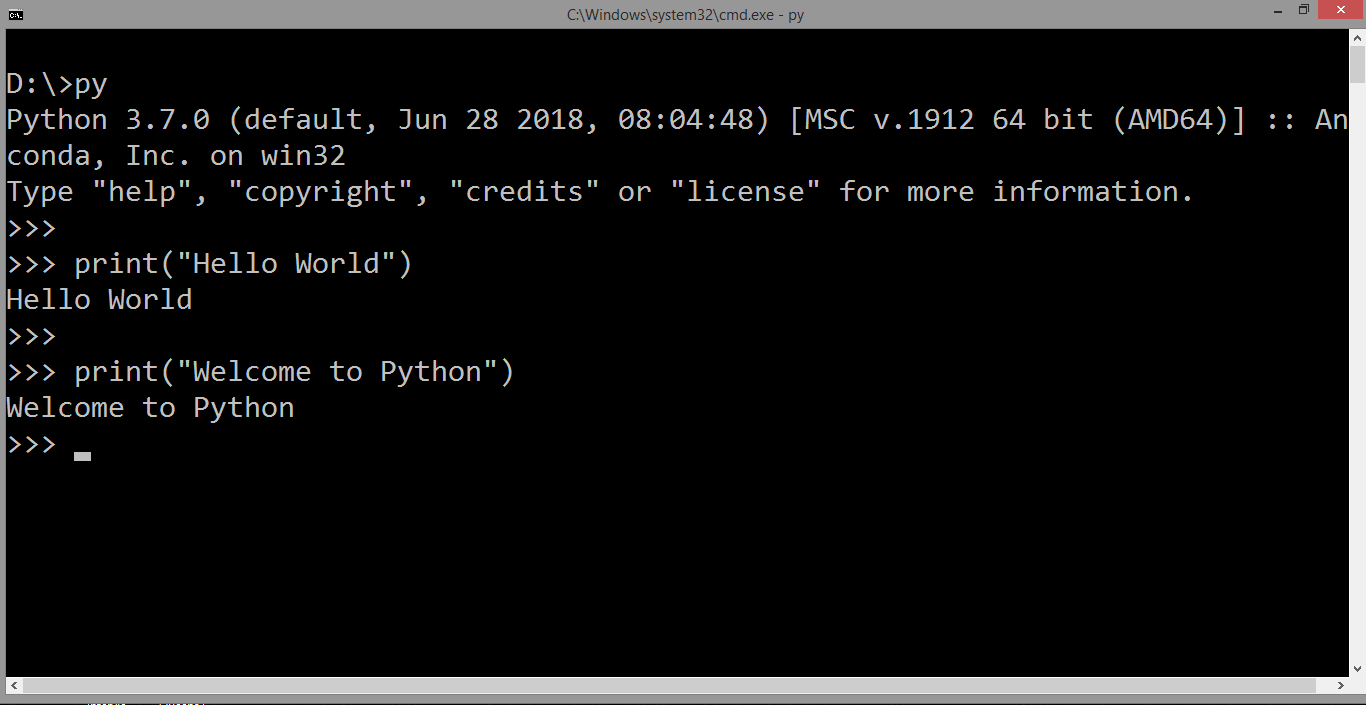 python-print-at-shell