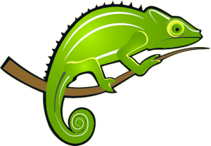 polymorphism chameleon