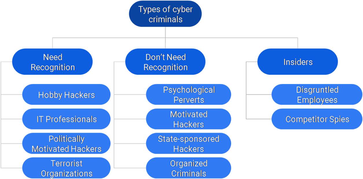 Types of Cyber Criminals