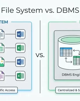 File System vs DBMS