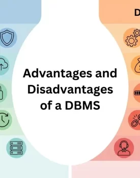 DBMS Advantages and Disadvantages