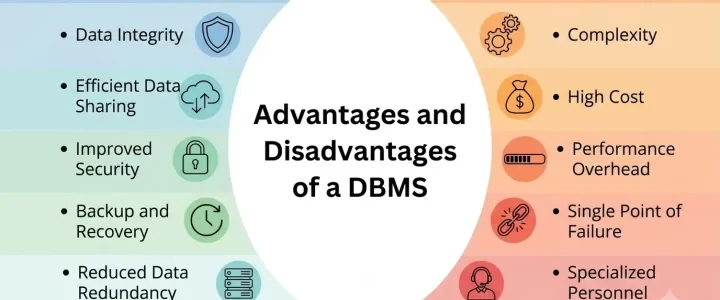 DBMS Advantages and Disadvantages