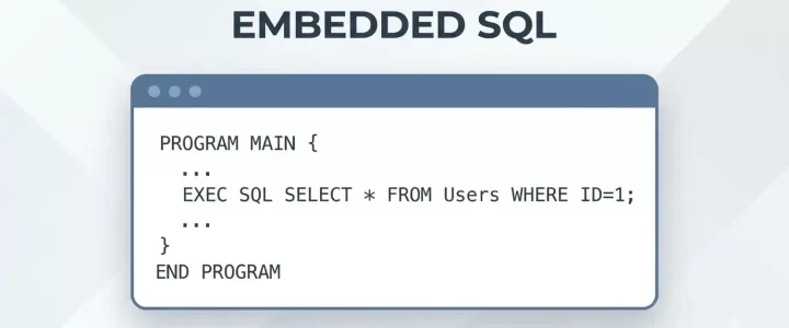 Embedded SQL Embedded SQL