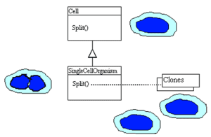 Prototype Pattern - Startertutorials